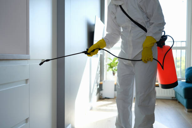 Best Mold Testing and Inspection Services in Glenn Heights, TX