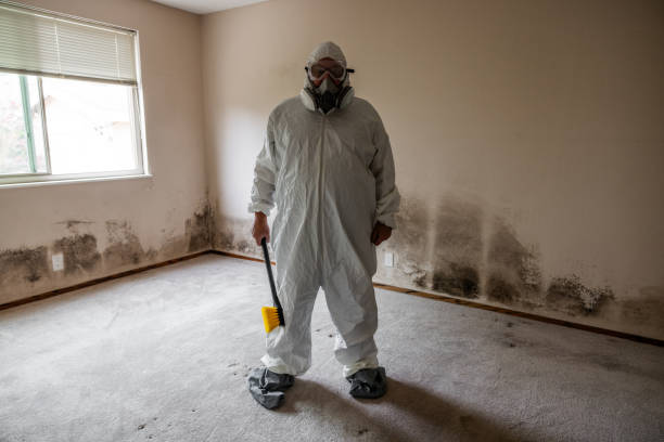 Best HVAC Mold Remediation in Glenn Heights, TX